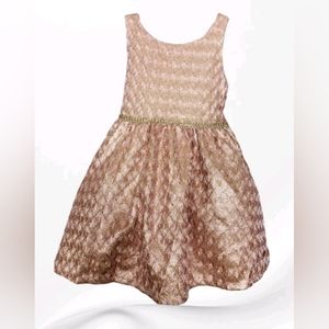 Girl's Tahari Toddler Sz 4T Pink Gold Metallic Rhinestone Trim Sleeveless Dress
